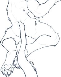 anthro ass awkward_pose die_of_death_(roblox) feet laying long_tail no_face no_visible_face no_visible_genitalia one_arm_up paw paws pursuer_(die_of_death) questionable roblox roblox_game robloxian skinny swirlytundra tagme tail tail_covering_crotch twink