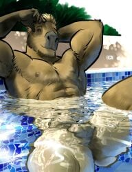 abs anthro balls bgn biceps brown_body brown_fur capybara caviid facial_hair fur genitals hair hi_res looking_at_viewer male male_only mammal muscular muscular_anthro muscular_male nipples nude outside penis rodent smile solo swimming_pool water