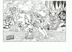 anthro archie_comics barby_koala beach black_and_white chipmunk elias_acorn fox hedgehog koala mobian_(species) older_female original_character raccoon sally_acorn sega sonic_(series) sonic_satam sonic_the_hedgehog sonic_the_hedgehog_(archie) sonic_the_hedgehog_(comics) sonic_the_hedgehog_(series) squirrel steven_butler tails younger_male