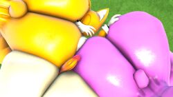 2girls 3d 3d_model amy_rose blueapple bubble_ass bubble_butt erection face_in_ass gigantic_ass hand_on_ass massive_ass mobian mobian_(species) mobian_bat outercourse penis_between_ass red_tip rouge_the_bat sega smelly_ass sonic_(series) sonic_adventure_2 sonic_the_hedgehog_(series) tail tails vanilla_the_rabbit