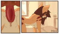 1boy 1girls 2022 animated anthro anthro_on_anthro anthro_penetrated anthro_penetrating anthro_penetrating_anthro anus ass balls breasts brown_hair cocoline_(artist) digital_media_(artwork) duo faceless_character faceless_male felid feline female female_penetrated from_behind_position fur furry genitals hair long_hair male male/female male_penetrating male_penetrating_female mammal nipples nude open_mouth penetration penis pussy sex short_playtime spread_legs uncensored vaginal_penetration