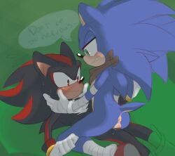 shadow the hedgehog from sonic (series)
