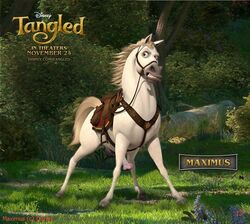 1animal disney edit feral horse_penis horsecock male_only maximus_(tangled) penis restrained tagme tangled