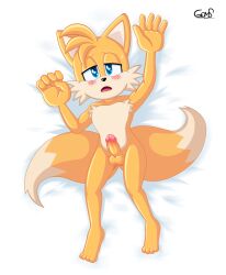 <3_eyes anthro aroused bed bed_sheet bedding blush bodily_fluids canid canine colored exposed fox furniture genitals goms half-closed_eyes heart helpless hi_res in_heat looking_at_viewer lying lying_on_bed male male/male mammal narrowed_eyes on_back on_bed open_mouth penis sega solo sonic_(series) sonic_the_hedgehog_(series) sweat sweatdrop tails young