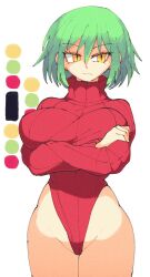 2021 big_breasts breasts female green_hair highleg highleg_leotard hikage_(senran_kagura) hips huge_breasts huge_thighs inkuusan legs leotard reference senran_kagura senran_kagura_(series) sweater thick thick_thighs thighs turtleneck turtleneck_sweater wide_hips yellow_eyes