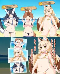 beach big_breasts bikini black_hair blonde_hair blue_eyes brown_hair cameltoe cat_ears cat_tail catgirl character_name dhole_(kemono_friends) dog_ears dog_tail erect_nipples_under_clothes flat_chest flat_chested geoffroy's_cat_(kemono_friends) grey_wolf_(kemono_friends) hair_ornament hair_ribbon heterochromia japanese_text kemono_friends large_breasts micro_bikini mihihusuzu necktie nipples_visible_through_clothing ocean orange_eyes small_breasts swimsuit third-party_edit twintails wolf_ears wolf_tail yellow_eyes