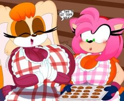 2girls 3barts amy_rose apron blush breasts cookies female huge_breasts lipstick milf multiple_girls sega sonic_(series) vanilla_the_rabbit