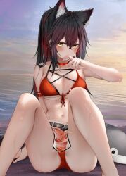 animal_ear_fluff animal_ears arknights arm_strap arm_up ass bandaid bandaid_on_leg bangs bare_arms bare_shoulders beach belt bikini black_hair blush breasts choker cleavage colored_inner_hair covering_mouth extra_ears female front-tie_bikini front-tie_top hair_between_eyes halterneck highres knees_up large_breasts long_hair looking_at_viewer medium_breasts multicolored_hair nail_polish navel orange_eyes plushie ponytail red_bikini red_choker red_hair red_nails ru_zhai sand see-through sidelocks sitting solo stomach streaked_hair string_bikini stuffed_animal stuffed_shark stuffed_toy swimsuit texas_(arknights) thighs two-tone_hair water wet wolf_ears yellow_eyes