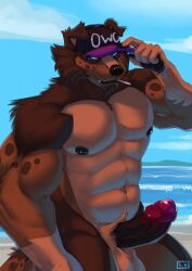 abs anthro australian_shepherd balls bara_tiddies beach biceps biped blue_eyes brown_body brown_fur brown_nipples burgundy_penis canid canine canis clothed clothing domestic_dog erection ferrilo foreskin fur genitals herding_dog hi_res himbo humanoid_genitalia looking_at_viewer male mammal muscular muscular_anthro nipples pastoral_dog pecs penis sea seaside sheepdog snapback_hat solo topless water