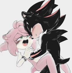 amy rose from sonic (series) by shadic80