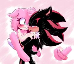 amy rose from sonic (series) by shadic80