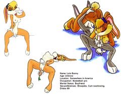 Anthro Rule 34 Image
