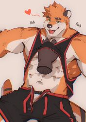 abs anthro biceps bottomwear chest_rub clothing clothing_pull countershading fur furry heart hemuchang hi_res lutrine male male_only mammal muscular muscular_male mustelid navel open_shorts open_zipper orange_body orange_fur pecs shirt shirt_pull shorts smile solo sound_effects tongue topwear topwear_pull white_body white_countershading