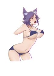 bikini makoto_(princess_connect!) princess_connect! princess_connect!_re:dive wolf_girl