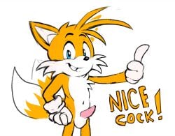 1boy balls canid canine casual_erection clothing double_tail english_text erection fox furry genitals gloves handwear male male_only mammal navel penis sega shmallow solo sonic_(series) sonic_the_hedgehog_(series) tails tails_(disambiguation) text