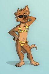 anthro bikini bottomwear bra brown_fur canid canine canis claws crossdressing feet funny fur furry male male_only mammal matt_riskely meme original pose smiling sunglasses tail tinydeerguy topwear underwear