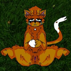 anus azhfurr crying_with_eyes_open feline female feral furry presenting_pussy pussy solo spread_legs squirrelflight_(warriors) warriors_(cats)