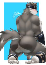 absurd_res anthro ass ass_focus back_muscles balls blindfold blush canid canine canis countershading fur gay genitals grey_body grey_fur hi_res horkeukamui kayashima_soru kneeling lifewonders male male_only mammal muscular muscular_anthro muscular_male nude penis solo tokyo_afterschool_summoners video_games wolf