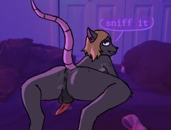 anthro anus ass bodily_fluids hi_res looking_at_viewer male mammal murid murine musk musk_clouds presenting presenting_anus presenting_hindquarters raised_tail rat ratboy ratdraws rodent solo spread_anus spread_legs spreading sweat