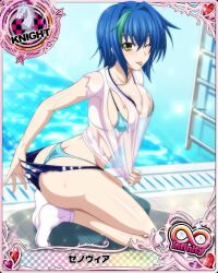 xenovia quarta from high school dxd