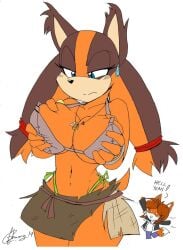 akatsukishiranui-fox anthro badger big_breasts cleavage furry large_breasts sega sonic_(series) sonic_boom sonic_the_hedgehog_(series) sticks_the_badger sticks_the_jungle_badger tagme wide_hips