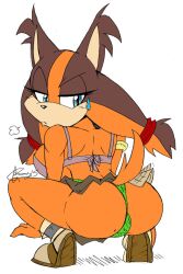 akatsukishiranui-fox anthro ass badger breasts bubble_butt dat_ass furry sega sonic_(series) sonic_boom sonic_the_hedgehog_(series) squatting sticks_the_badger sticks_the_jungle_badger tagme thighs thong upskirt