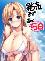 blue_eyes blush brown_hair derauea female honoo_no_haramase_oppai_ero_appli_gakuen huge_breasts japanese_text shiramine_sumika sky squeez swimsuit translation_request