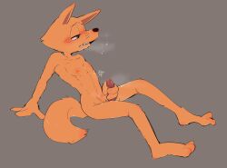 animal_genitalia animal_penis anthro blush canid canine dripping edit fluffy_tail fox heart hi_res kaiketsu_zorori male male_only mammal masturbation muscle nipples orange_body orange_fur saliva simple_background spread_legs steam teeth zorori