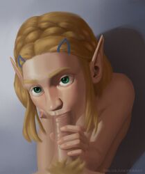 link from nintendo by bluejuniperart