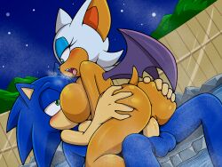 rouge the bat from sega by sonicguru