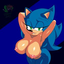 sonic the hedgehog from sonic (series)