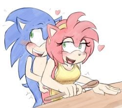 amy rose from sonic (series) by extraspecialzone