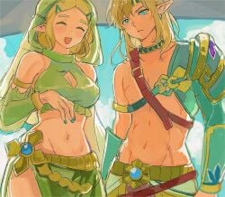 link from nintendo by hatenokatasumi