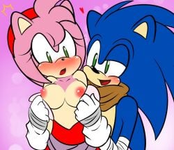 amy rose from boomerang (tv network) by unknown artist
