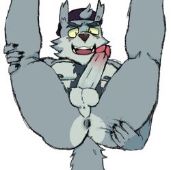 anthro ass body_hair canid canine canis chest_hair erection holding_legs_up looking_at_viewer looking_pleasured lying male male_only mammal momoskinks on_back presenting presenting_hindquarters pubes solo solo_focus solo_male wolf wolf_(we_baby_bears)