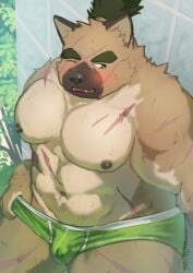 abs anthro blush brown_body brown_fur bulge canid canine canis clothing domestic_dog fur genital_outline lifewonders male mammal natsuhakoura navel nipples pecs penis_outline scar scars_all_over solo tokyo_afterschool_summoners topknot underwear video_games yasuyori