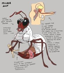 ant cbt cock_and_ball_torture doctor insects male male_urethral_insertion monster nurse nurse_uniform original penis prostate prostate_sounding prostate_stimulation sounding syringe urethral urethral_insertion urethral_penetration