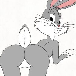 animated ass buckteeth bugs_bunny butt ears fart fart_fetish furry gay grey_body looney_tunes rabbit spanky15 tail video