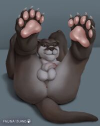 anthro anus ass balls fauna_island feet genitals hi_res invalid_tag lutrine male male/male mammal mustelid paws penis solo