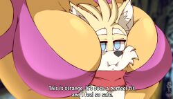 rouge the bat from sega by superix