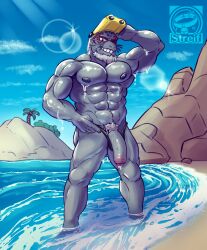 1boy abs anthro beach beard clothing detailed_background facial_hair flaccid_penis foreskin genitals hi_res humanoid_penis intact male male_nipples male_only male_pubic_hair male_thong mammal marine mostly_nude_male muscular_male my_hero_academia partially_retracted_foreskin pecs penis penis_out pinniped presenting presenting_penis seal seaside selkie_(my_hero_academia) solo spotted_seal streif uncut underwear veiny_penis