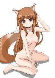 1girls aeg_(mocking6) animal_ears blush breasts brown_hair female holo long_hair looking_at_viewer nipples nude red_eyes simple_background sitting small_breasts smile solo spice_and_wolf tail wariza white_background wolf_ears wolf_tail