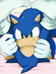 anus blue_fur exposed_torso featureless_crotch feet footwear furry gloves green_eyes handwear humanoid male male_only sega shoppaaaa socks sole_male sonic_(series) sonic_the_hedgehog sonic_the_hedgehog_(series) yaoi