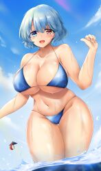 1girls kogasa_tatara poke200 tagme touhou