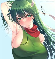 1girls armpit_fetish armpits awayuki_ramika blush breasts female female_only fire_emblem fire_emblem:_mystery_of_the_emblem fire_emblem:_shadow_dragon_and_the_blade_of_light japanese_text large_breasts long_hair looking_at_viewer nintendo palla_(fire_emblem) steaming_body steamy_armpits sweat text translation_request upper_body