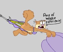 1girls anthro ass blackkittyartz female furry hook sandy_cheeks spongebob_squarepants tagme wedgie
