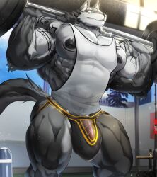 abs anthro biceps bodybuilder furry furry_only gay gym huge_bulge hyper hyper_balls hyper_genitalia hyper_penis jockstrap magangz male male_focus male_only muscle muscles muscular muscular_arms muscular_ass muscular_back muscular_legs muscular_male muscular_thighs nipples pecs squats veins veiny_penis wolf workout_clothing