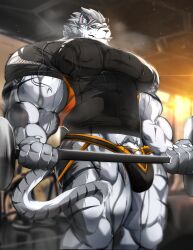 abs anthro biceps bodybuilder cum_on_muscles furry furry_only gay gay_sex gym magangz male male_focus male_only muscle muscles muscular muscular_arms muscular_ass muscular_back muscular_legs muscular_male muscular_thighs nipples pecs veins veiny_penis workout