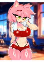 amy_rose big_breasts cleavage dayindark15nsfw green_eyes gym large_breasts mobian_(species) pink_hair sonic_(series) sonic_the_hedgehog_(series) sweat towel
