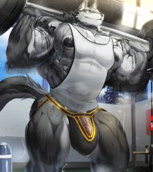 abs anthro biceps bodybuilder furry furry_only gay gym huge_bulge hyper hyper_balls hyper_genitalia hyper_penis jockstrap magangz male male_focus male_only muscle muscles muscular muscular_arms muscular_ass muscular_back muscular_legs muscular_male muscular_thighs nipples pecs squats veins veiny_penis wolf workout